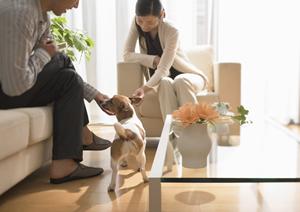 自分の自宅や中古物件購入前の耐震診断