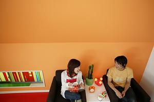 シックハウスと自然素材と東京で建てる家