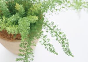 エクステリア外構の工事をしたいなら