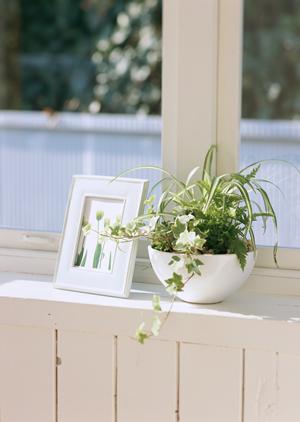 中古住宅の販売業者を新潟で探したい